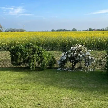 Nordseeküste Am Deich Mit Schönem Garten *