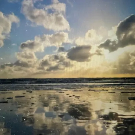 Nordseekueste Am Deich Mit Schoenem Garten *
