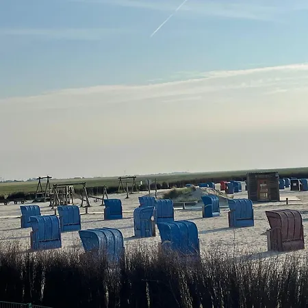 Nordseekueste Am Deich Mit Schoenem Garten *