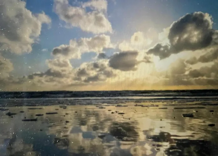 Nordseekueste Am Deich Mit Schoenem Garten *