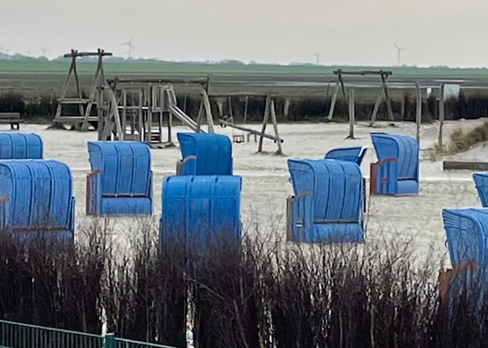 Nordseekueste Am Deich Mit Schoenem Garten *